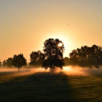 sunce