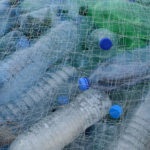 plastika_boce_pet_10012019_zagrebdanas
