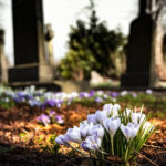 groblje_28042019_zagrebdanas