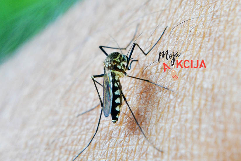 komarac akcija